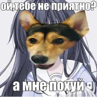Sticker from Сигма Тома @MoiStikiBot