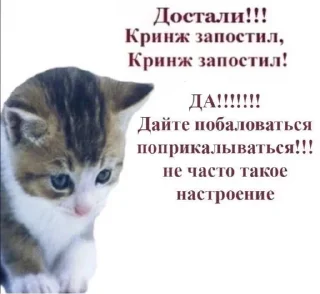 Sticker from плачущий мем