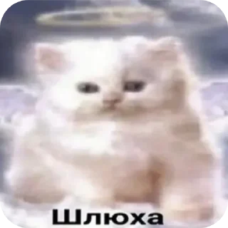 🐱 emoji У меня стояк Telegram sticker 5 of 99