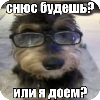 😎 emoji У меня стояк Telegram sticker 22 of 99
