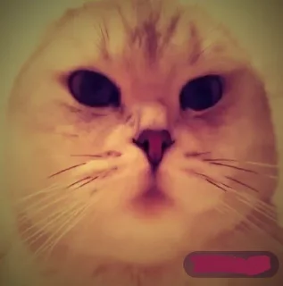🤩 emoji Легендо до Telegram sticker 7 of 88