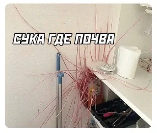 🌟 emoji Эльза в отпуске Telegram sticker 9 of 35