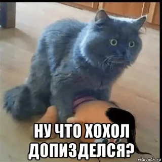 😈 emoji крым это россия🇷🇺 Telegram sticker 1 of 13