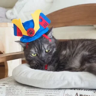👩‍🎨 emoji Котецу @UgoleshekGoma Telegram sticker 7 of 15