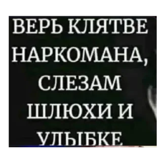 🫥 Forcat, стікер Telegram 7 з 120