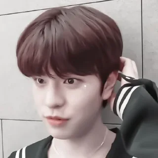 Sticker from 𖥻 seungmin : 🦙 : @lumicore_present