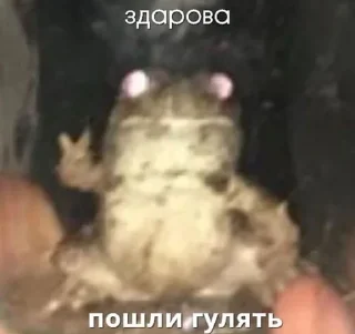 😎 emoji Лучшие стики ʕ/ ·ᴥ·ʔ/ Telegram sticker 19 of 21