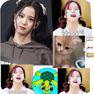 😭 emoji Blackpink Telegram sticker 8 of 10