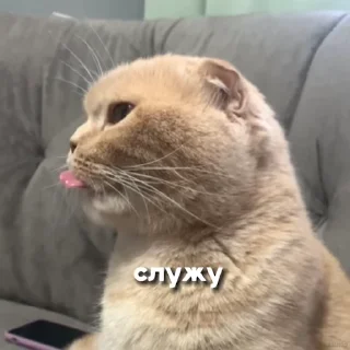 😄 emoji шаня ворлд @xsutiabat Telegram sticker 8 of 10