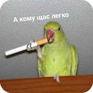 Sticker from Шиза