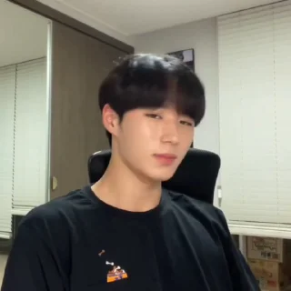 🦊 emoji junseo @weiruistan Telegram sticker 19 of 47