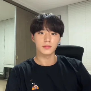 🦊 emoji junseo @weiruistan Telegram sticker 9 of 47
