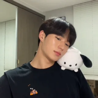 🦊 emoji junseo @weiruistan Telegram sticker 13 of 47