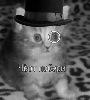 🧐 emoji Супер котики Telegram sticker 11 of 37