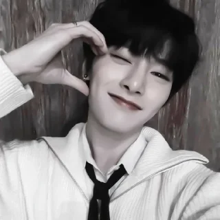 😘 emoji I.N stray kids Telegram sticker 15 of 31