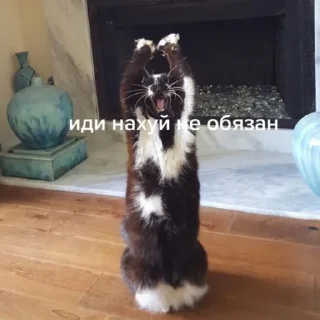 😝 emoji Сделано Кирюшей Telegram sticker 6 of 26