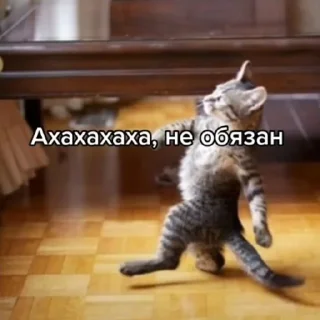 😎 emoji Сделано Кирюшей Telegram sticker 12 of 26