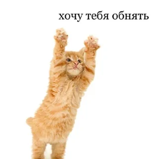 Sticker from пикчи!!