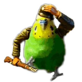 🦜 emoji Пикчи Telegram sticker 15 of 85