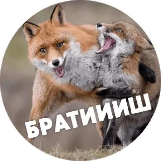 🌟 emoji LisaNika Telegram sticker 10 of 28