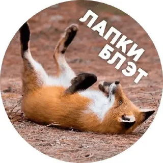 🌟 emoji LisaNika Telegram sticker 18 of 28