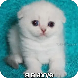 🥰 emoji че за айви Telegram sticker 9 of 10