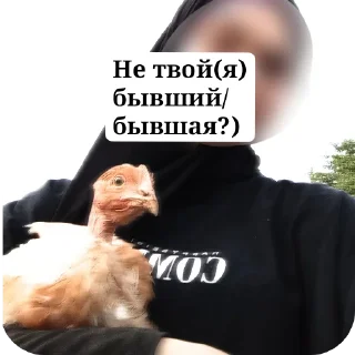 🧥 emoji Алинка делает Telegram sticker 6 of 12
