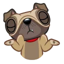 🤷‍♂️ emoji Fred the Pug Telegram sticker 9 of 25