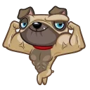 💪 emoji Fred the Pug Telegram sticker 18 of 25