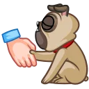 🤝 emoji Fred the Pug Telegram sticker 14 of 25