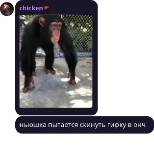 🟥 emoji мешок попущенцов Telegram sticker 12 of 120