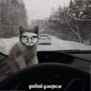 Sticker from Хуи