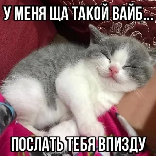 Sticker from Тычмоня<33 2.0
