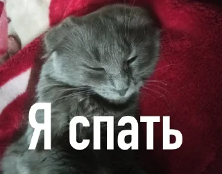 😮‍💨 emoji Муся Telegram sticker 10 of 38