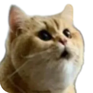 😯 emoji Смешные стикеры Telegram sticker 8 of 18