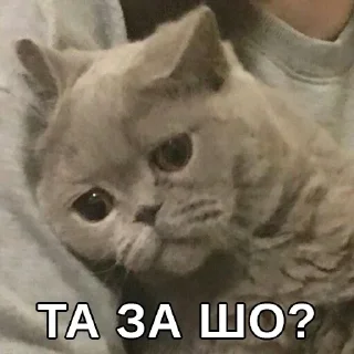 😢 стікери ненормальної, стікер Telegram 24 з 119