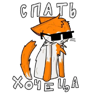 🥱 emoji Kitten with glasses Telegram sticker 2 of 15