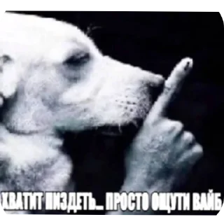 🖼 emoji Бумбая Telegram sticker 16 of 120