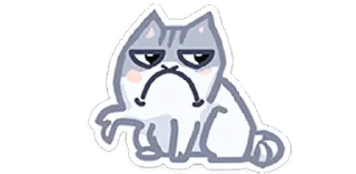 👎 emoji мутный кіт by @scaledJPG Telegram sticker 7 of 10