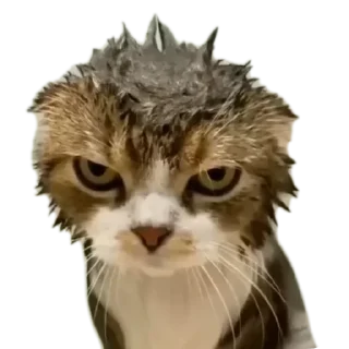 💢 emoji Какой то Андер ЖО Telegram sticker 6 of 120