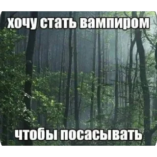 🤓 emoji грибнойприкоп Telegram sticker 16 of 41
