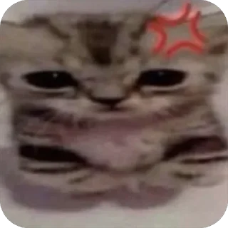 😤 fav by tima, Telegram sticker 20 of 116