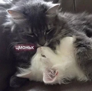 🤍 emoji муа Telegram sticker 16 of 49
