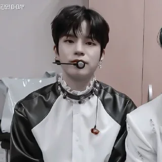 🐶 emoji [🐶] ;; seungmin ;; @lumicore_present Telegram sticker 10 of 40