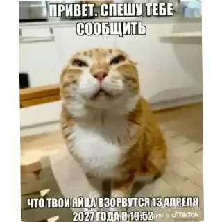 😰 emoji БОЛЬШЕ ⇨ @CLOOBHUB МЕМЫ MEMES TG ТГ MARVEL МАРВЕЛ Telegram sticker 6 of 120