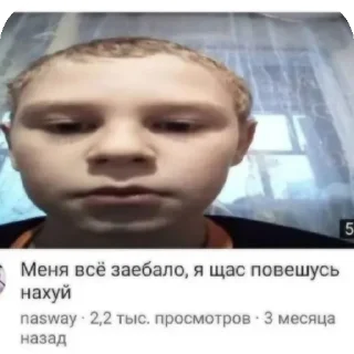 👍 emoji мопсiх Telegram sticker 18 of 85