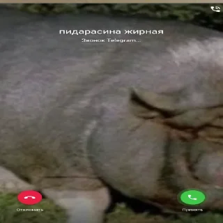 🐖 emoji миньоны Telegram sticker 13 of 19