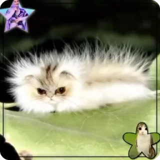 🌟 emoji котогусеница@raquelrodriguezww Telegram sticker 9 of 12