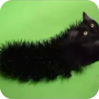 🐱 emoji #Котогусеница :@Valeriya_xxx Telegram sticker 7 of 10