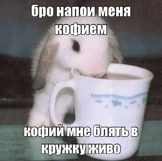 ☕ emoji Что то 9 Telegram sticker 10 of 120